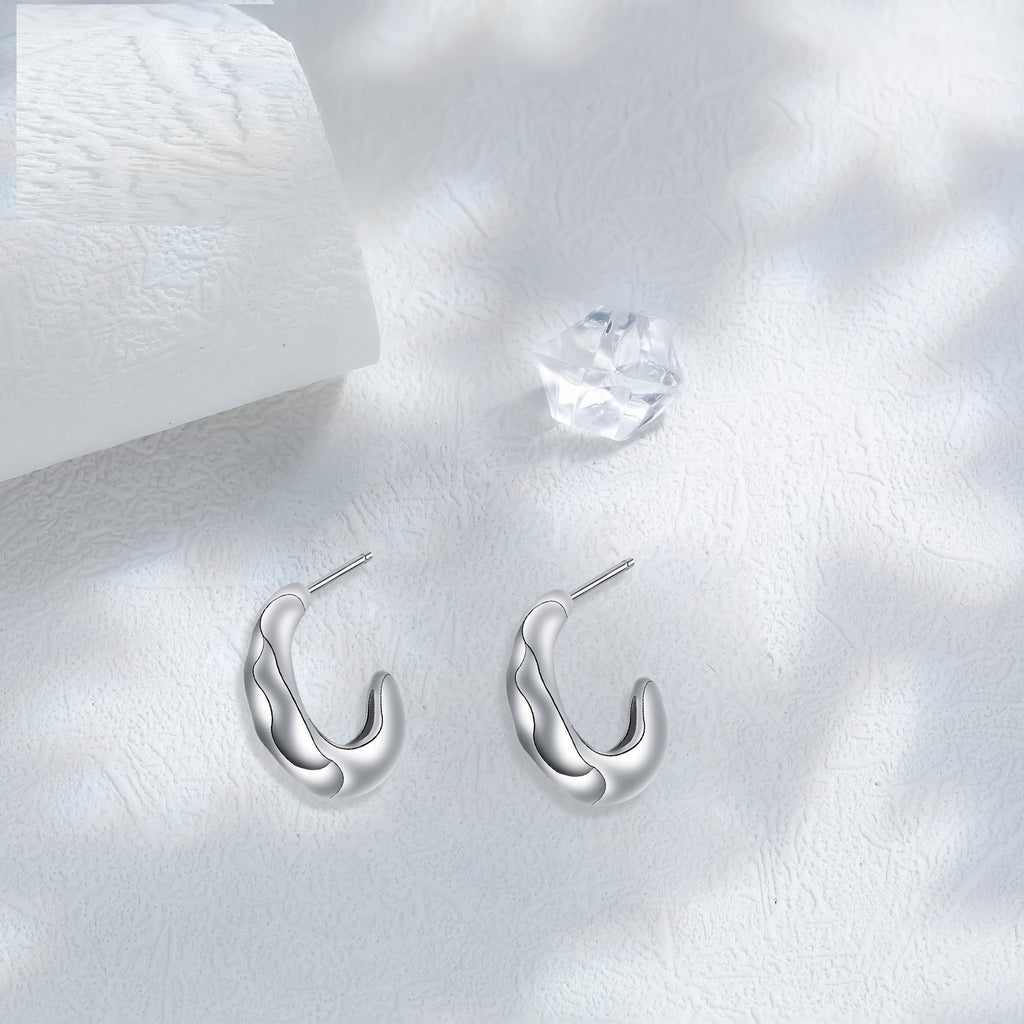Niche Advanced European And American Style Ear Ring Simple Design Earrings For Women
